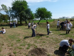 imagenes-medioambiente-reserva-05